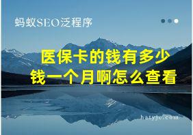 医保卡的钱有多少钱一个月啊怎么查看