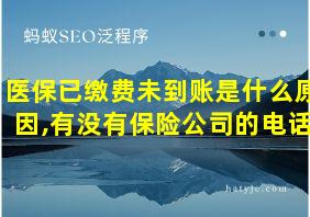 医保已缴费未到账是什么原因,有没有保险公司的电话