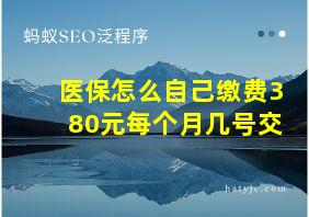 医保怎么自己缴费380元每个月几号交