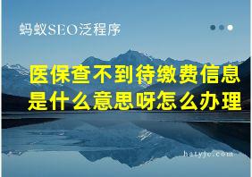 医保查不到待缴费信息是什么意思呀怎么办理