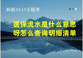 医保流水是什么意思呀怎么查询明细清单