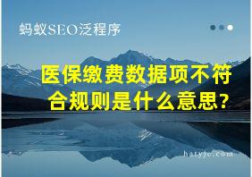 医保缴费数据项不符合规则是什么意思?