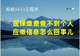 医保缴费查不到个人应缴信息怎么回事儿