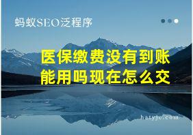 医保缴费没有到账能用吗现在怎么交