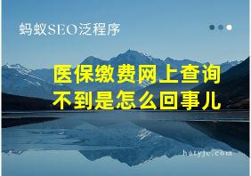 医保缴费网上查询不到是怎么回事儿