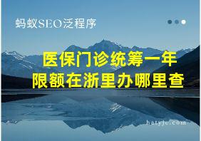 医保门诊统筹一年限额在浙里办哪里查