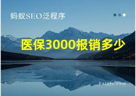 医保3000报销多少