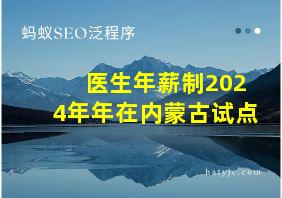 医生年薪制2024年年在内蒙古试点