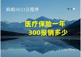 医疗保险一年300报销多少