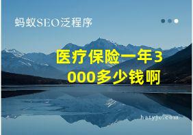 医疗保险一年3000多少钱啊