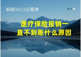 医疗保险报销一直不到账什么原因