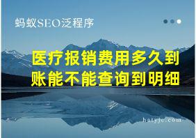 医疗报销费用多久到账能不能查询到明细