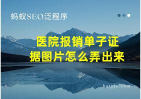 医院报销单子证据图片怎么弄出来