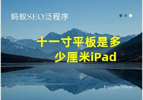 十一寸平板是多少厘米iPad