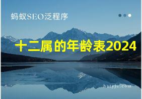 十二属的年龄表2024