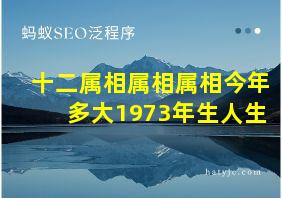 十二属相属相属相今年多大1973年生人生