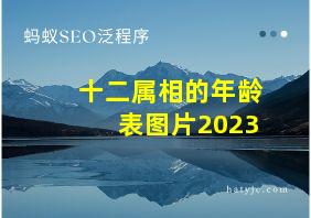 十二属相的年龄表图片2023