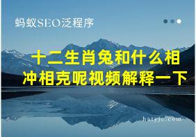 十二生肖兔和什么相冲相克呢视频解释一下