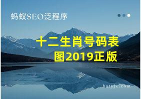 十二生肖号码表图2019正版