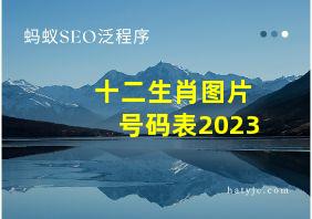 十二生肖图片号码表2023