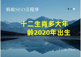 十二生肖多大年龄2020年出生