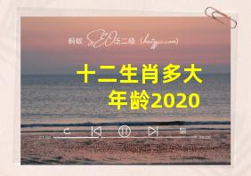 十二生肖多大年龄2020