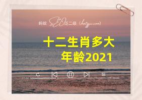 十二生肖多大年龄2021