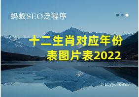 十二生肖对应年份表图片表2022