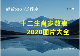 十二生肖岁数表2020图片大全