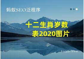 十二生肖岁数表2020图片