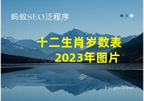 十二生肖岁数表2023年图片