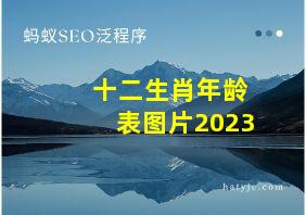 十二生肖年龄表图片2023