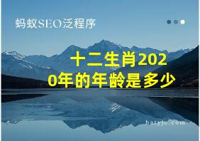 十二生肖2020年的年龄是多少