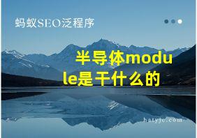 半导体module是干什么的