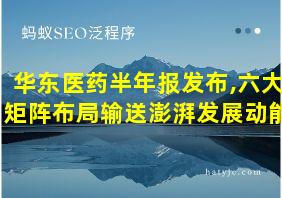 华东医药半年报发布,六大矩阵布局输送澎湃发展动能