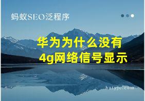 华为为什么没有4g网络信号显示