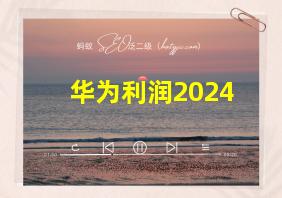 华为利润2024