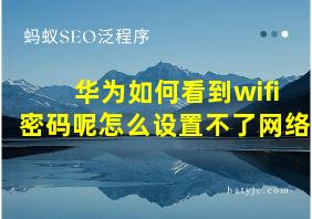 华为如何看到wifi密码呢怎么设置不了网络