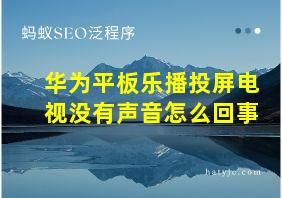 华为平板乐播投屏电视没有声音怎么回事