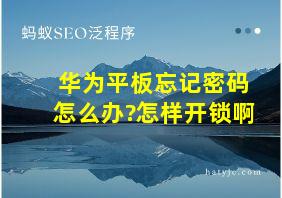 华为平板忘记密码怎么办?怎样开锁啊