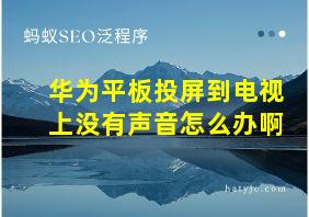 华为平板投屏到电视上没有声音怎么办啊