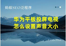 华为平板投屏电视怎么设置声音大小