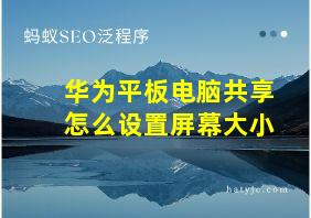 华为平板电脑共享怎么设置屏幕大小