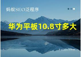 华为平板10.8寸多大