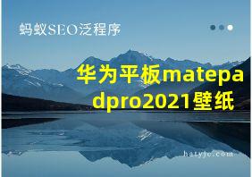 华为平板matepadpro2021壁纸