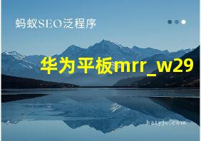 华为平板mrr_w29