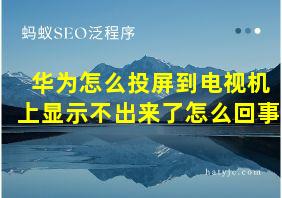 华为怎么投屏到电视机上显示不出来了怎么回事