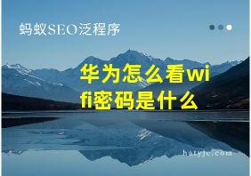 华为怎么看wifi密码是什么