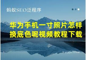 华为手机一寸照片怎样换底色呢视频教程下载