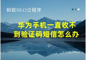 华为手机一直收不到验证码短信怎么办